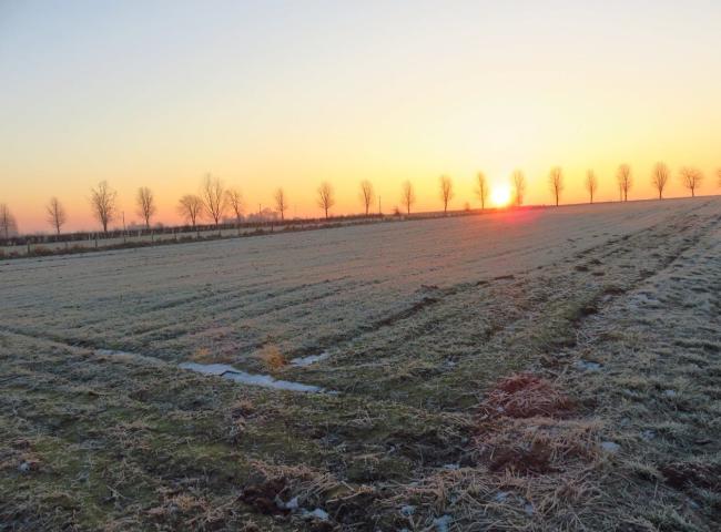 Wintertocht © Hugo Verlaenen