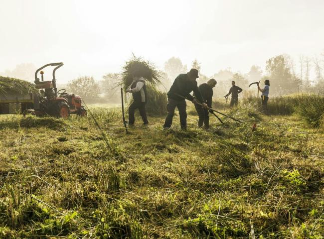 Werkdag Linterse Natuurgebieden © Pieter-Jan Alles