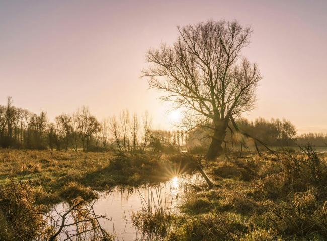 Landschapswandeling © Natuurpunt