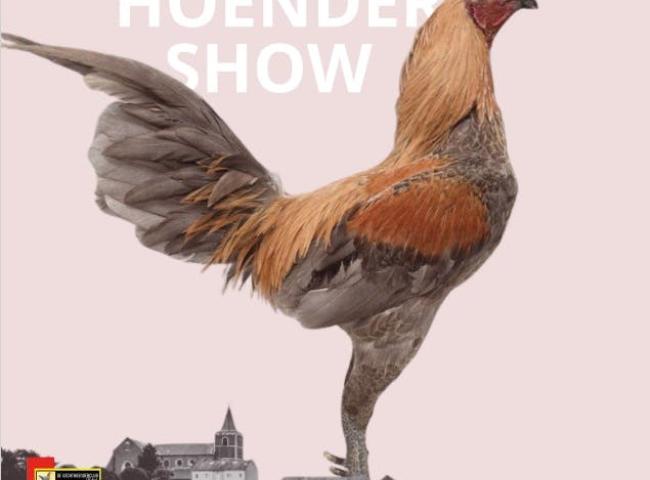 Internationale Vechthoendershow © De vechthoenderclub Belgiê