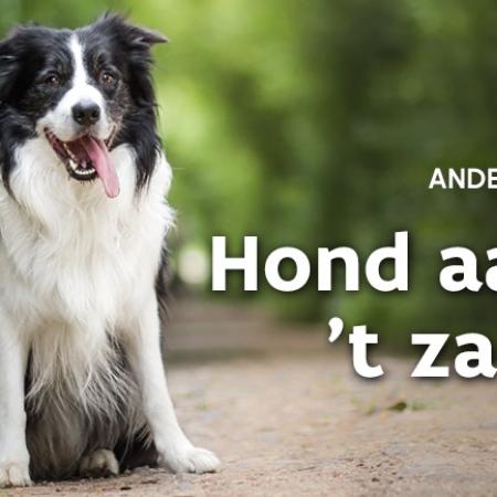 honden