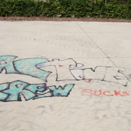 Linters skatepark ontsierd door graffiti