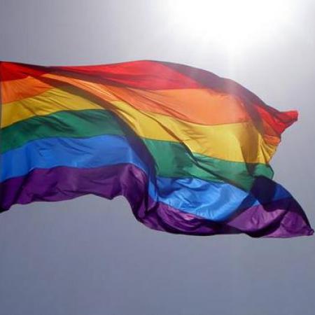 Regenboogvlag wappert in Linter