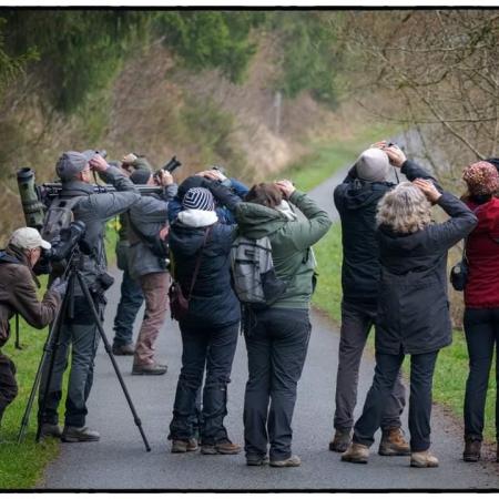  Roofvogeltelling regio Oost-Brabant © Vogelwerkgroep