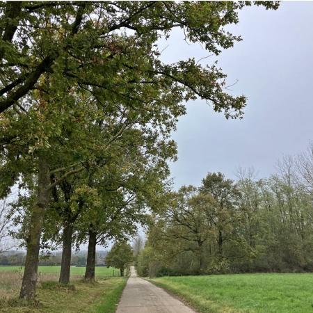 9de Streekwandeling Hagelandgidsen: Melkwezer (Linter) © Hagelandgidsen 9de Streekwandeling Hagelandgidsen: Melkwezer (Linter) © Hagelandgidsen