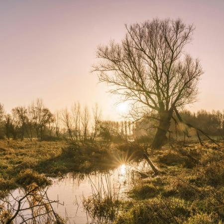 Landschapswandeling © Natuurpunt